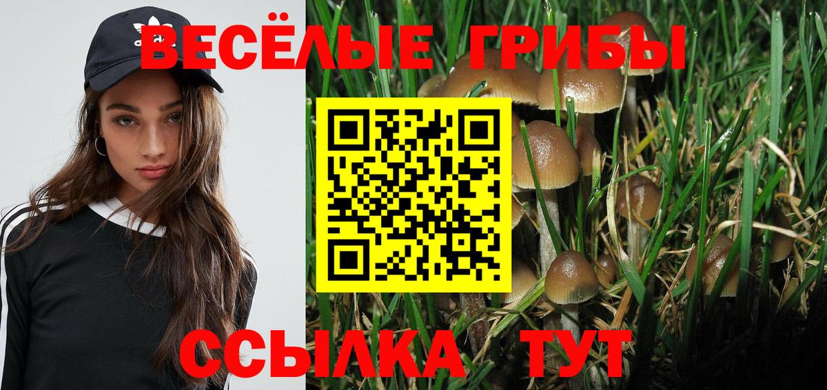 Галлюциногенные грибы Cubensis Белогорск