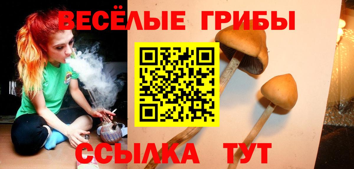 Псилоцибиновые грибы MAGIC MUSHROOMS  Вход с VPN  Белогорск 